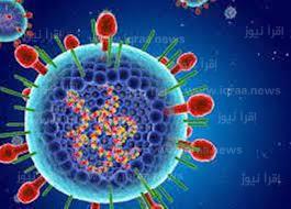 حقيقة توقف الدراسة بسبب انتشار الفيروس المخلوي التنفسي الجديد