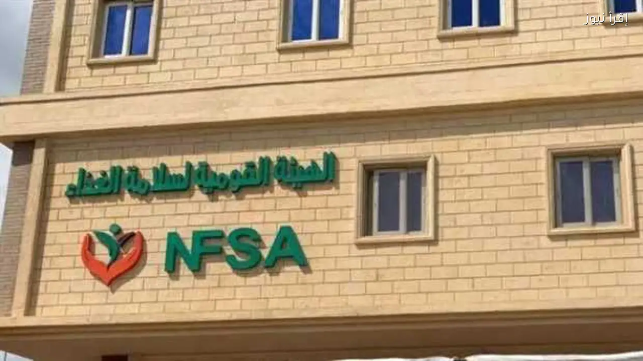 210 آلاف طن صادرات غذائية خلال أسبوع وفق “سلامة الغذاء”