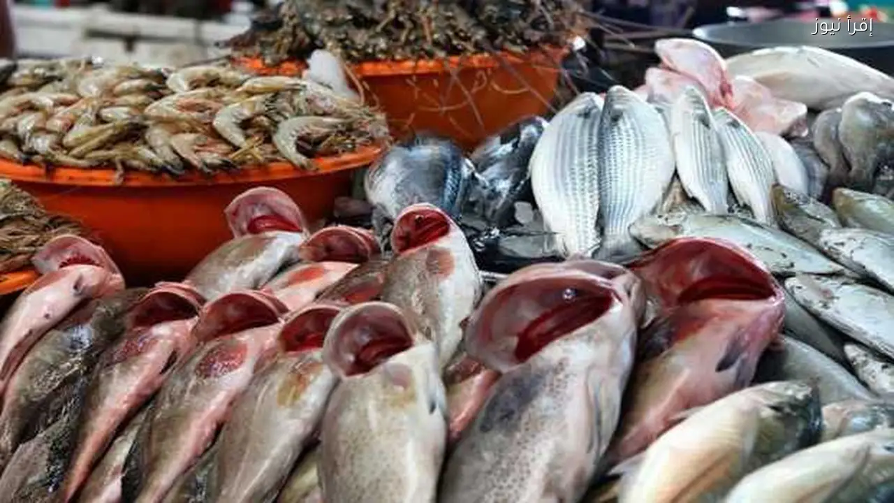أسعار السمك والجمبري اليوم الجمعة: البوري 180 والبياض 190