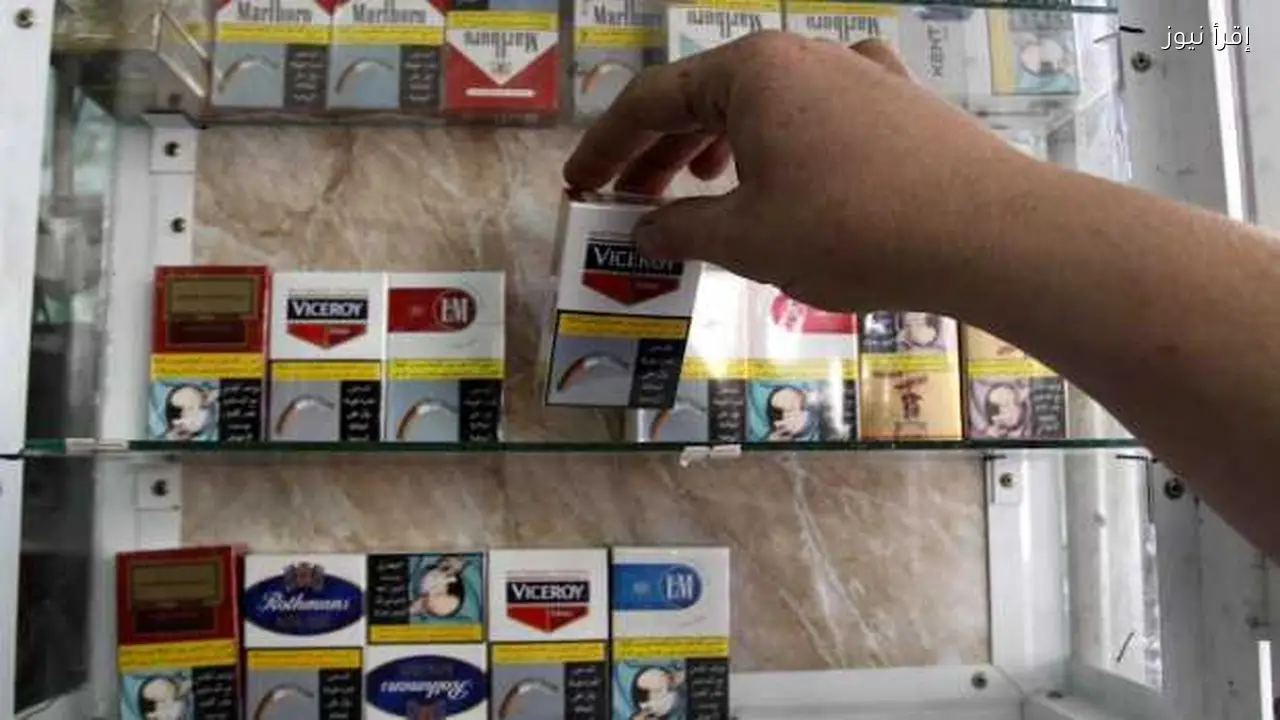 استقرار أسعار السجائر في السوق المصري مع زيادة الطلب في الشتاء