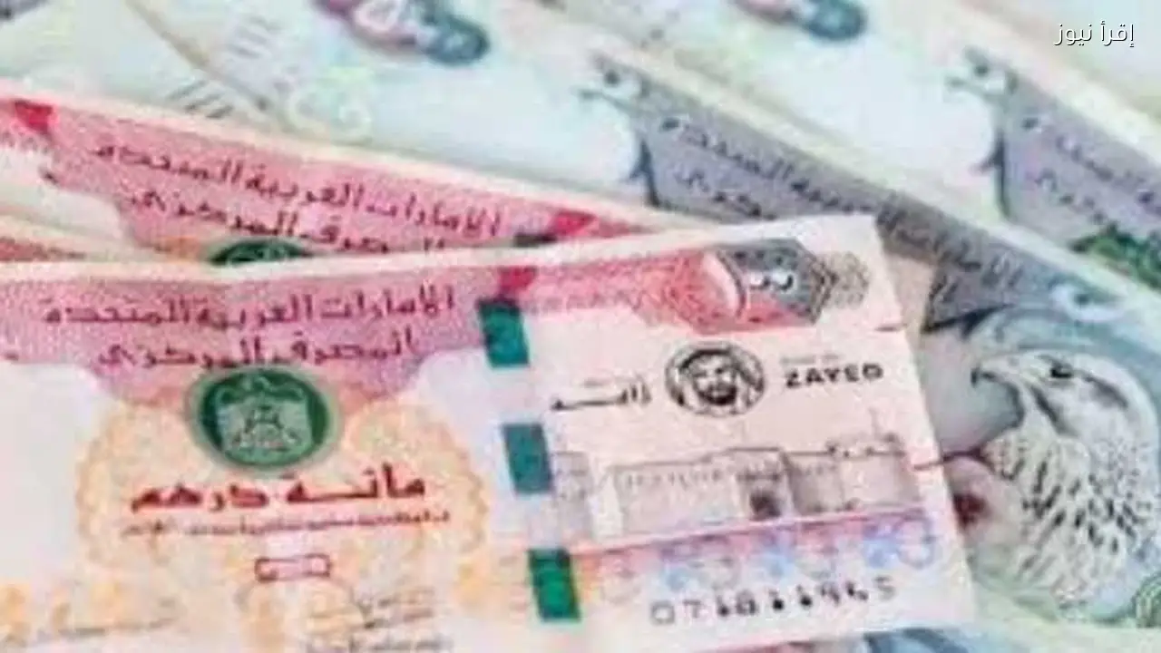 استقرار سعر الدرهم الإماراتي في البنوك المصرية اليوم 24 يناير 2026