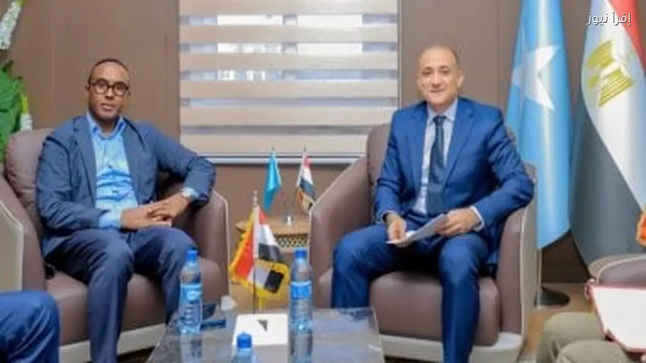 رئيس الهيئة الصومالية: مصر شريك استراتيجي لدعم استقرار الصومال