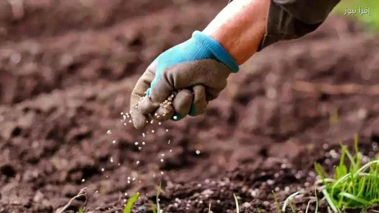 زيادة 215 جنيها في متوسط سعر طن الأسمدة بمصر