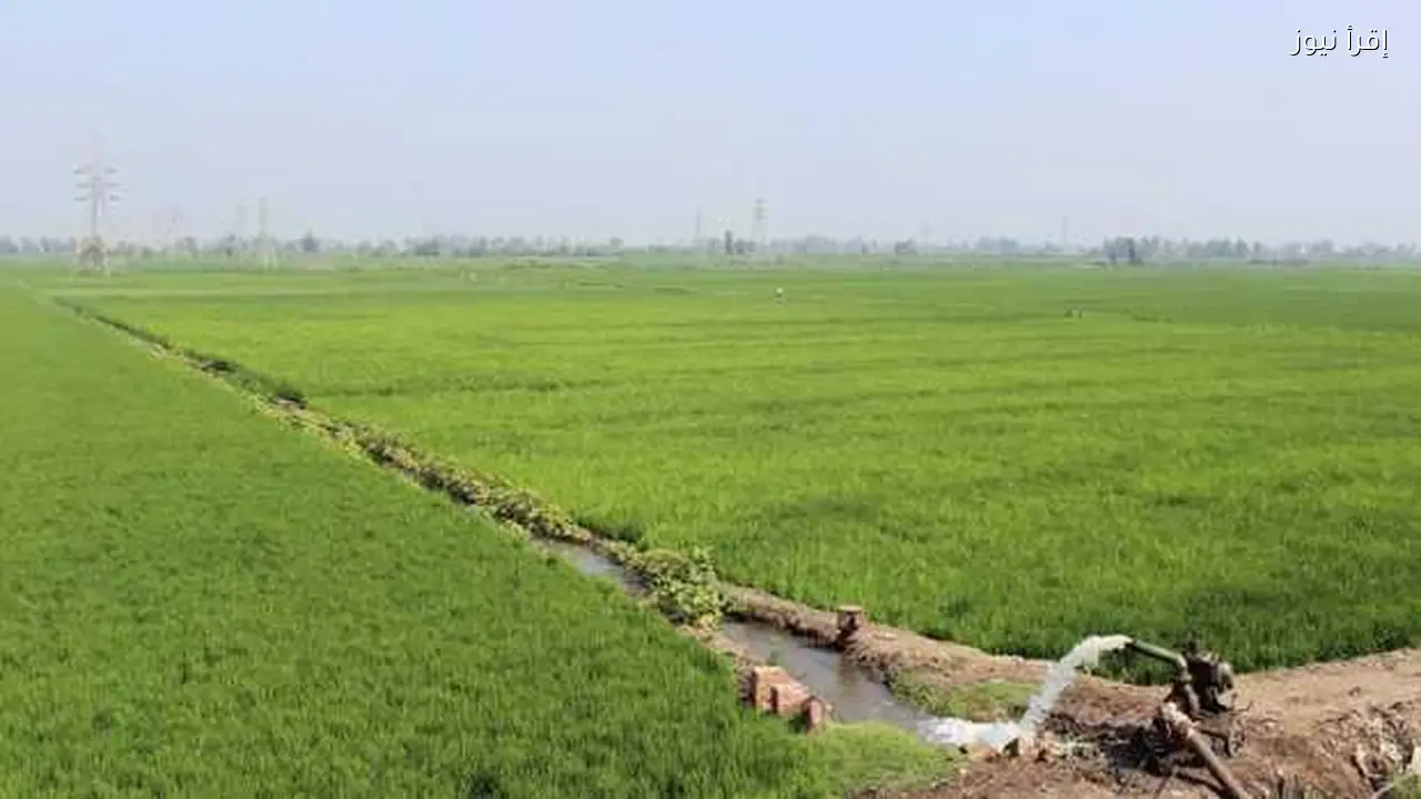 زيادة رسوم تطهير الترع والمصارف إلى 350 جنيها في الساعة