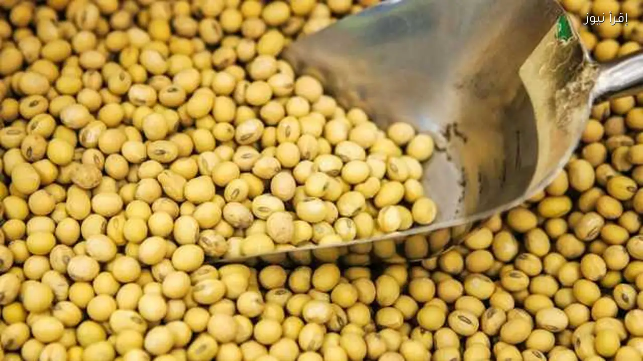 زيادة طلب الصين على فول الصويا البرازيلي