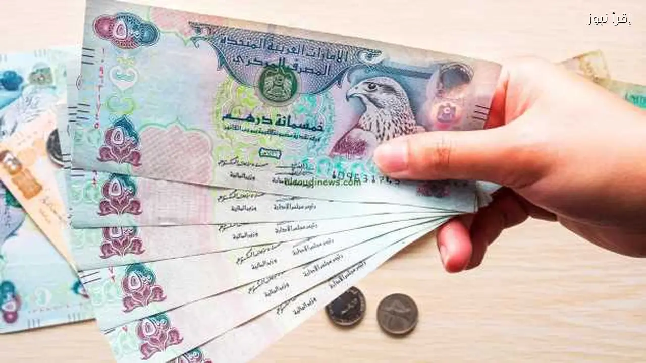 سعر الدرهم الإماراتي اليوم 23 يناير 2026 يشهد استقرارًا نسبيًا