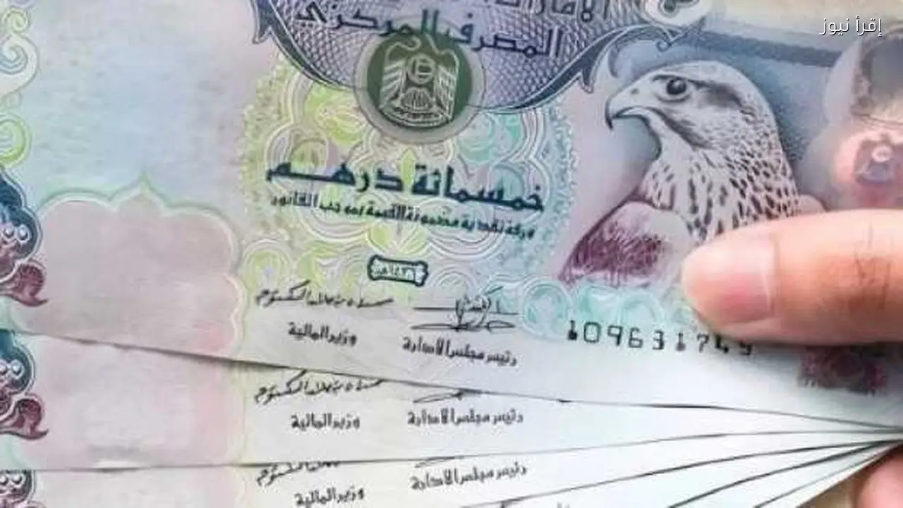 سعر الدرهم الإماراتي اليوم 31 يناير 2026 مع استقرار مستمر في السوق