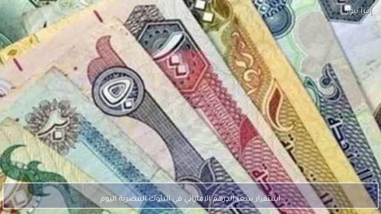 استقرار سعر الدرهم الإماراتي في البنوك المصرية اليوم