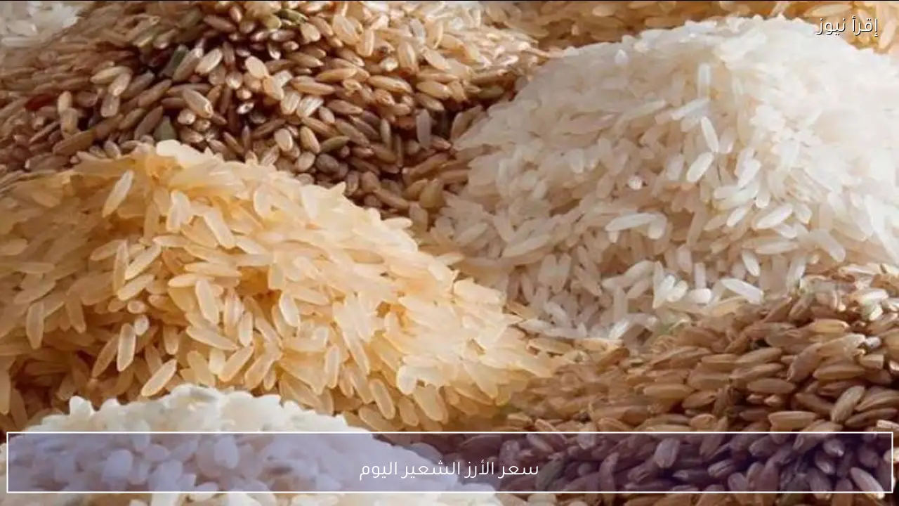 زيادة الطلب ترفع سعر الأرز الشعير اليوم الاحد 15-2-2026 في الاسواق