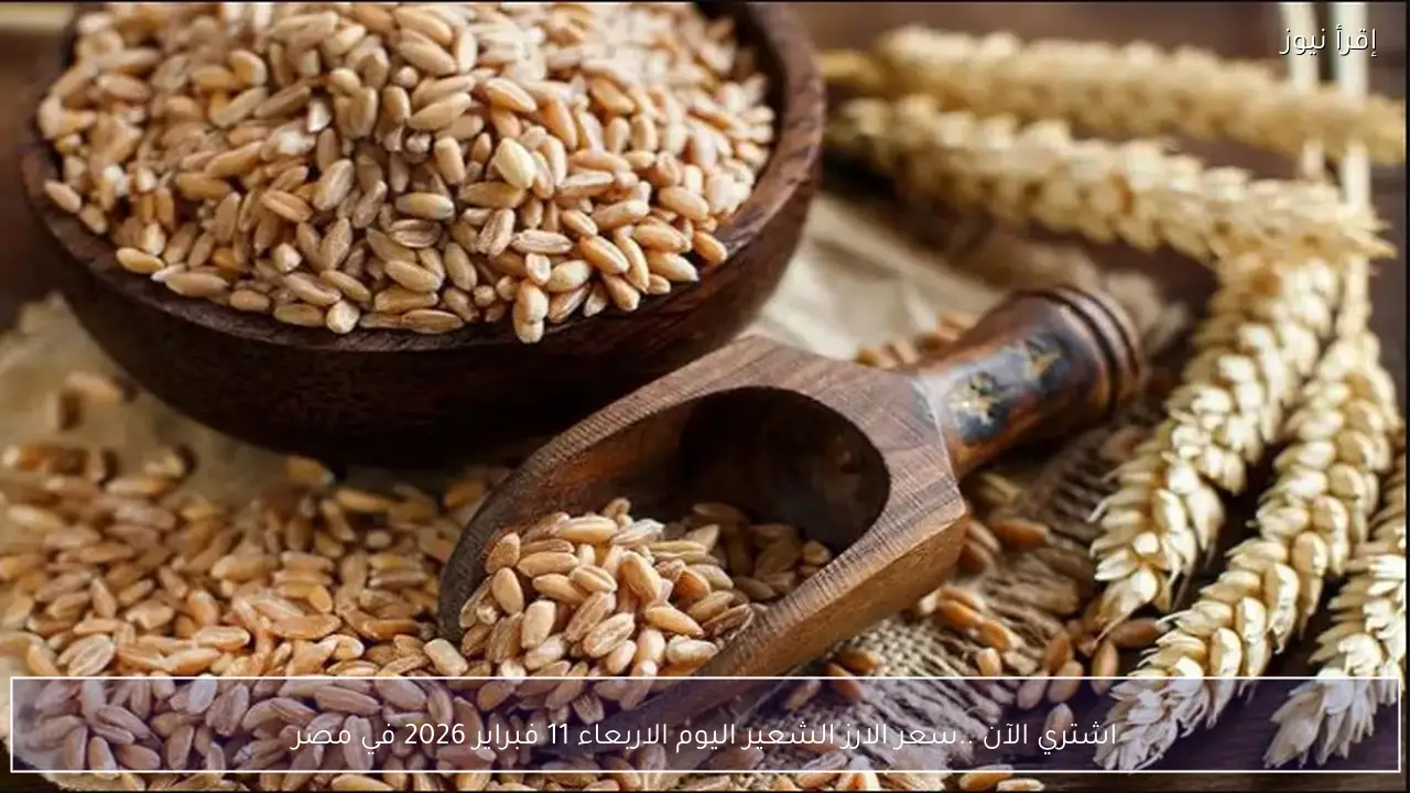 اشتري الآن ..سعر الارز الشعير اليوم الاربعاء 11 فبراير 2026 في مصر