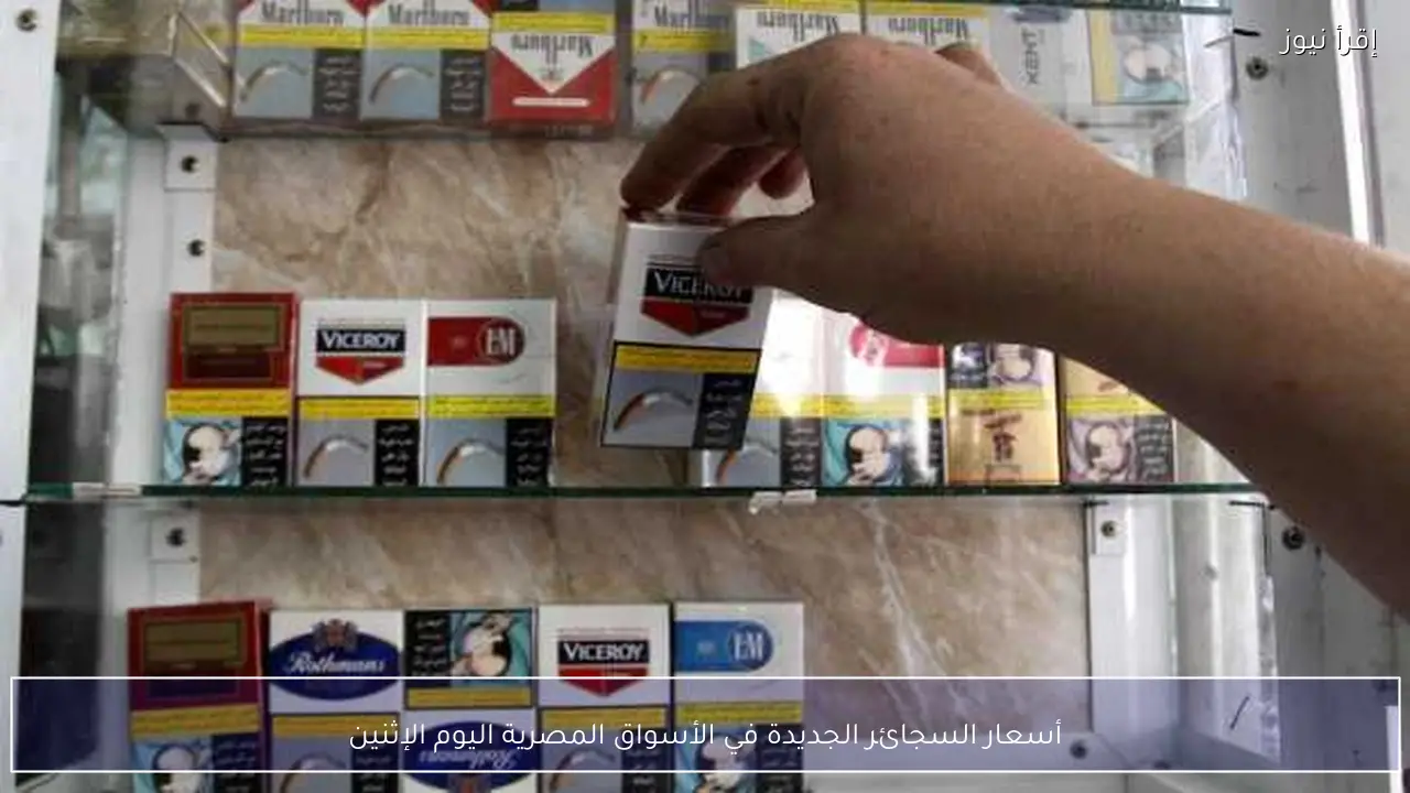 أسعار السجائر الجديدة في الأسواق المصرية اليوم الإثنين