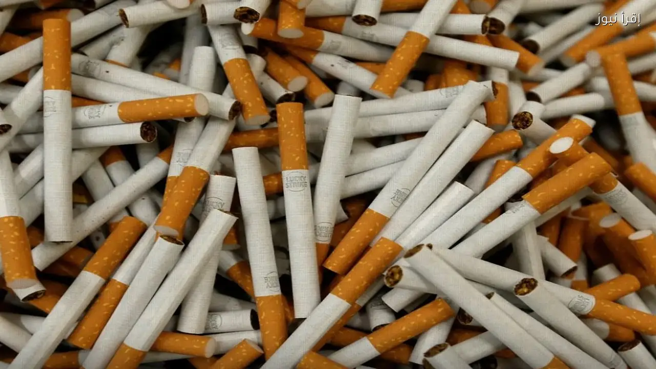 أسعار السجائر اليوم الثلاثاء 3 فبراير 2026.. استقرار السجائر المحلية وارتفاع المستوردة