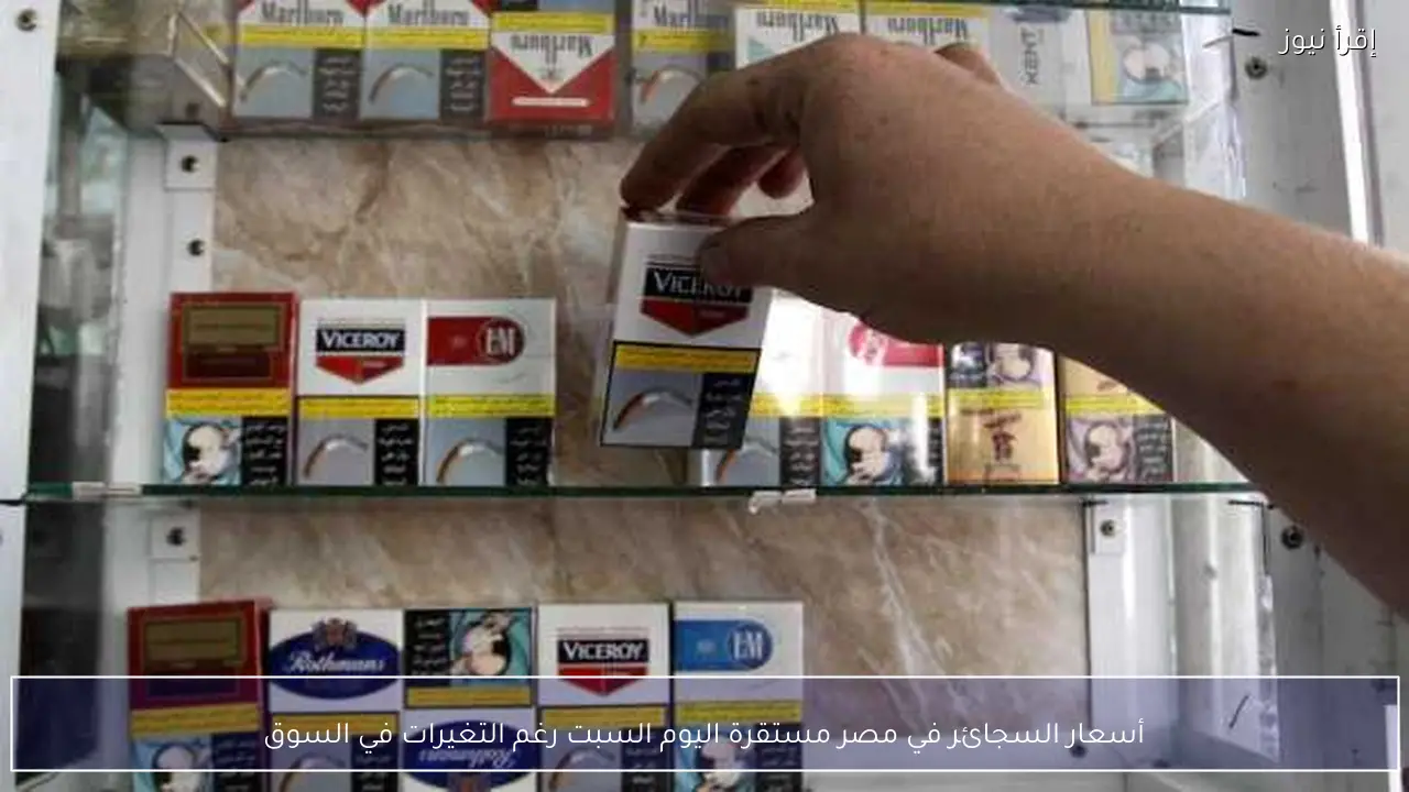 أسعار السجائر في مصر مستقرة اليوم السبت رغم التغيرات في السوق