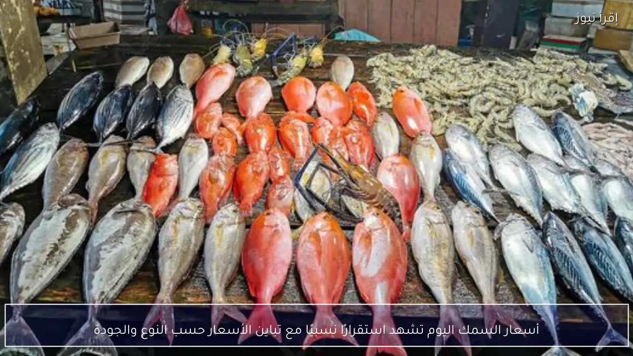 أسعار السمك اليوم تشهد استقرارًا نسبيًا مع تباين الأسعار حسب النوع والجودة