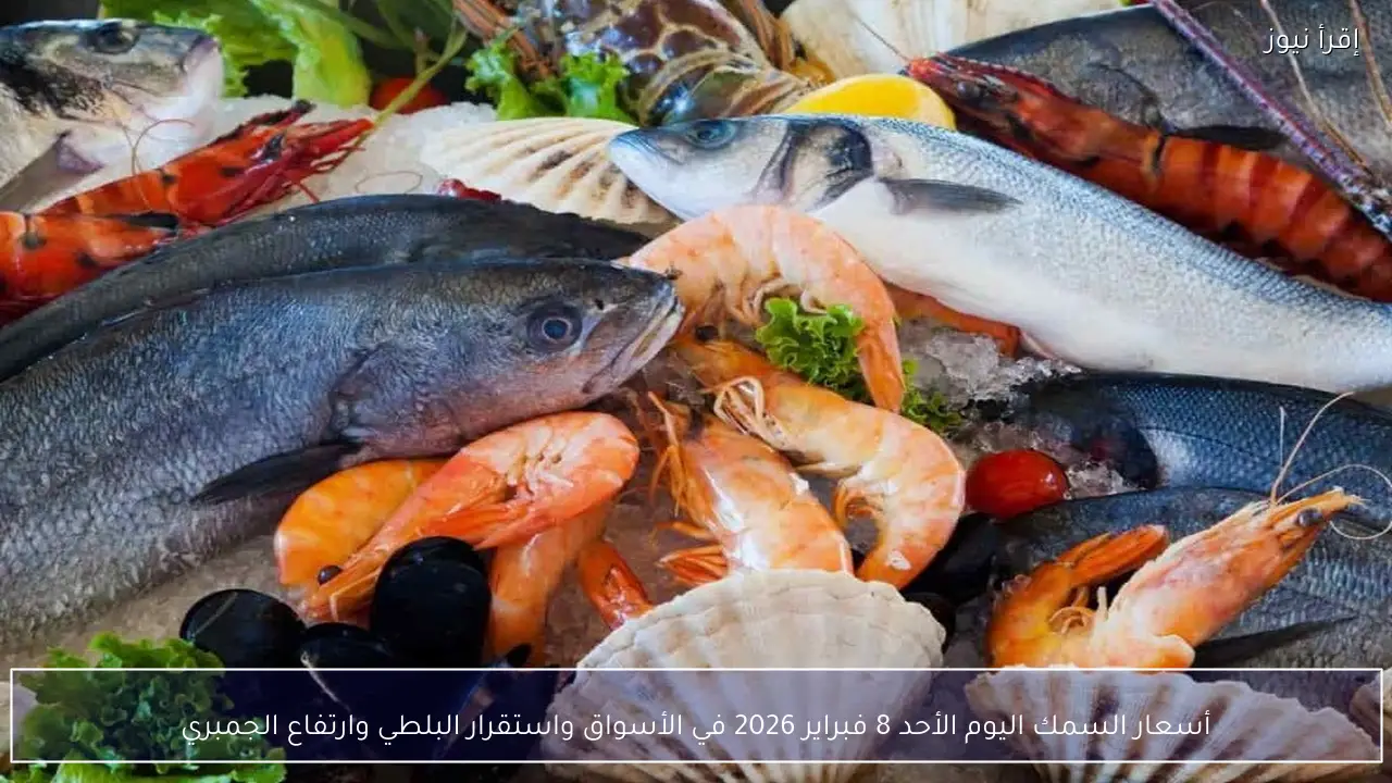 أسعار السمك اليوم الأحد 8 فبراير 2026 في الأسواق واستقرار البلطي وارتفاع الجمبري