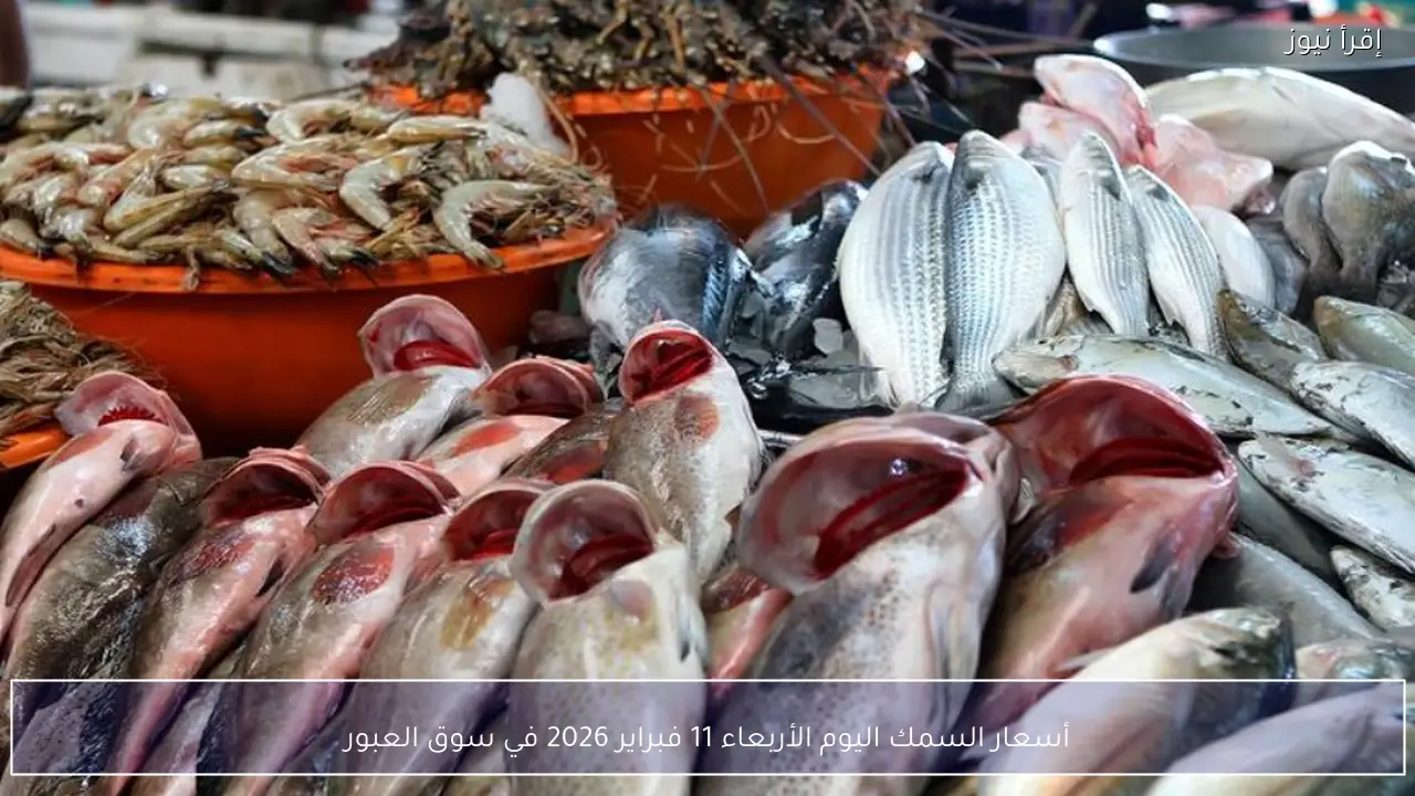 أسعار السمك اليوم الأربعاء 11 فبراير 2026 في سوق العبور واستقرار نسبي في أغلب الأصناف