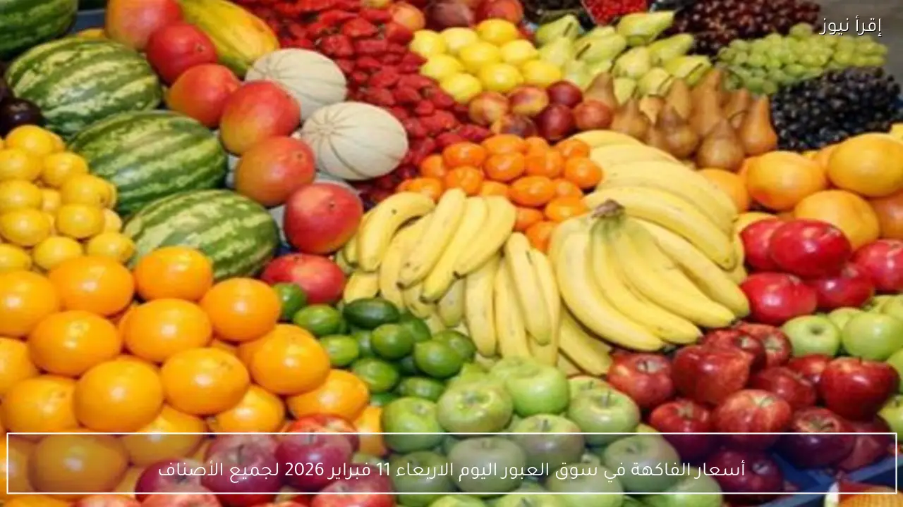 أسعار الفاكهة في سوق العبور اليوم الاربعاء 11 فبراير 2026 واستقرار نسبي في الموالح والفراولة