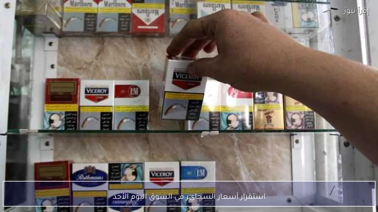 استقرار أسعار السجائر في السوق اليوم الأحد
