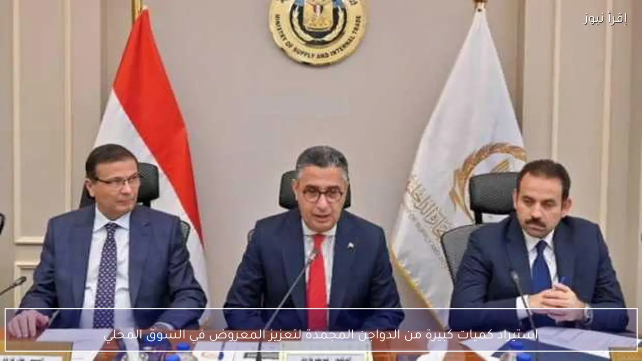 استيراد كميات كبيرة من الدواجن المجمدة لتعزيز المعروض في السوق المحلي