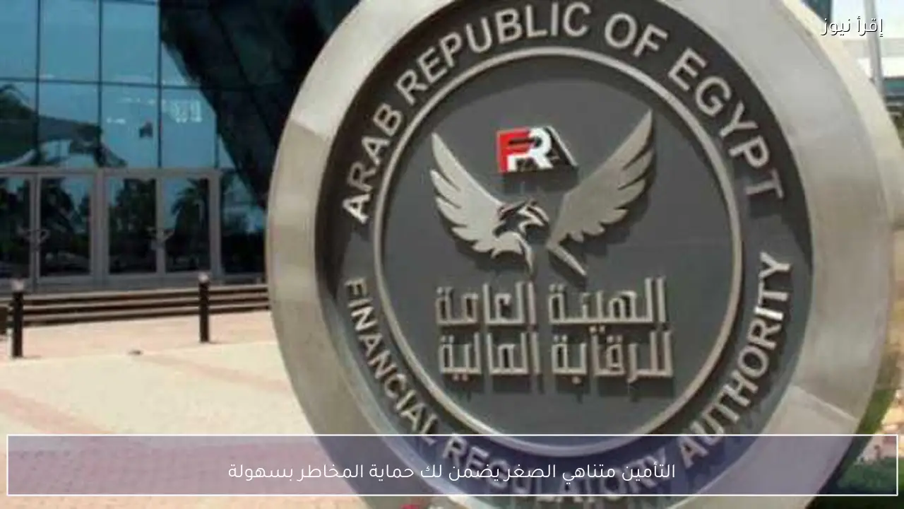 التأمين متناهي الصغر يضمن لك حماية المخاطر بسهولة