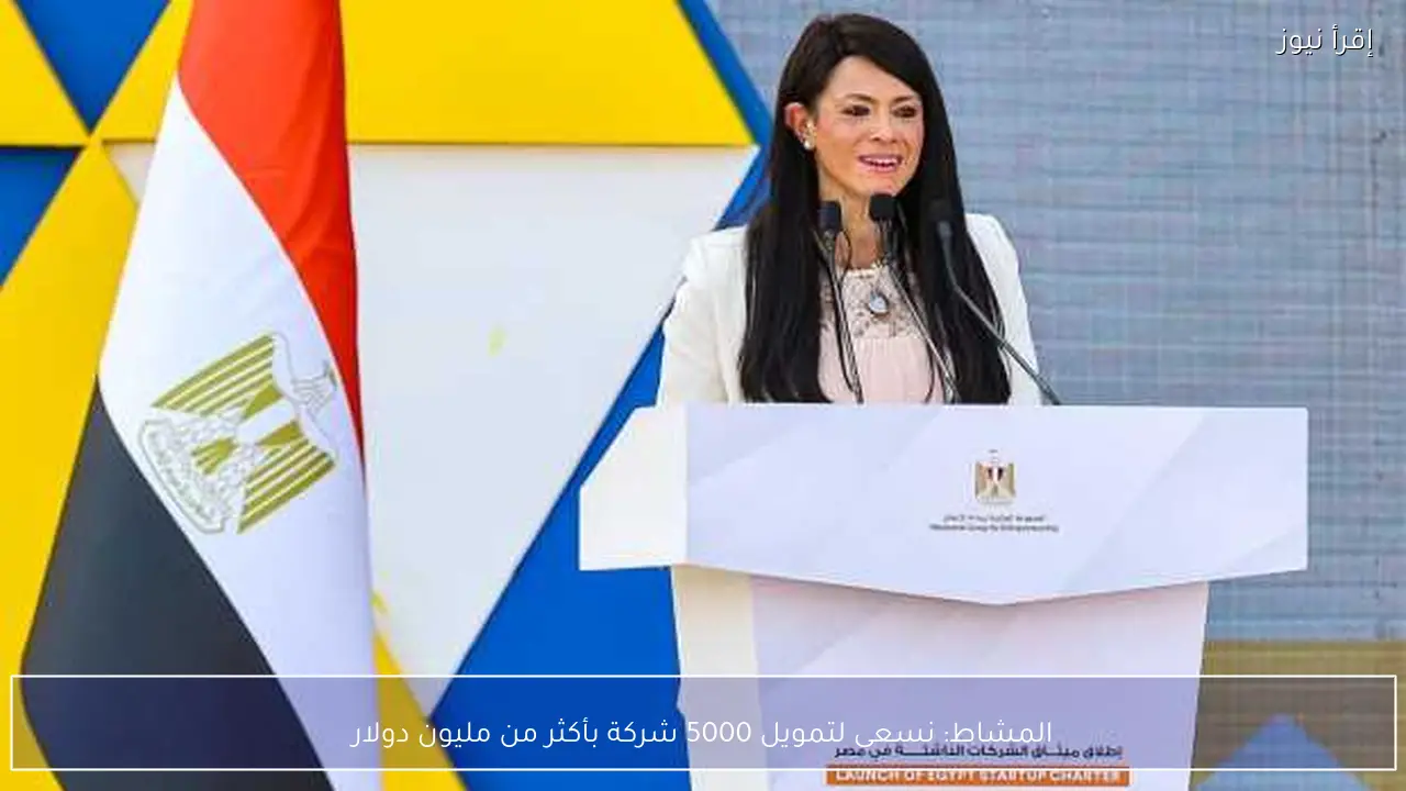 المشاط: نسعى لتمويل 5000 شركة بأكثر من مليون دولار