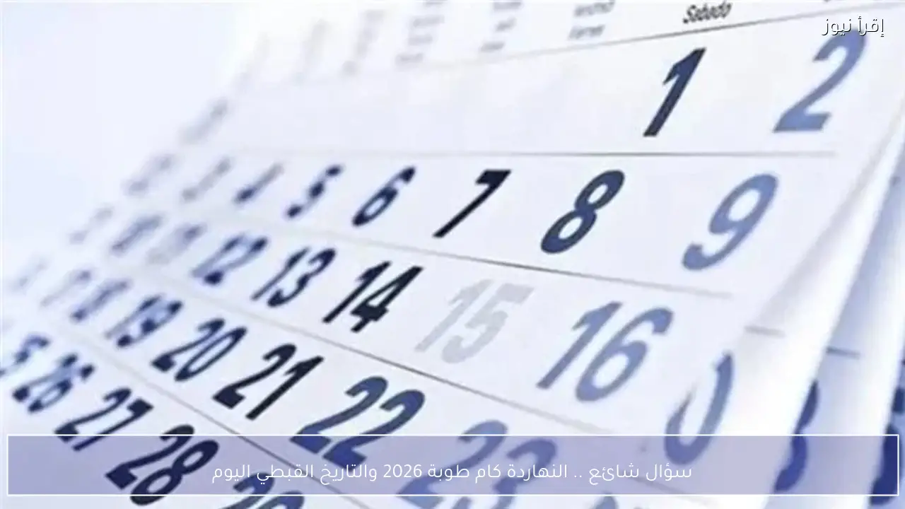 النهاردة كام طوبة 2026؟ ورقة نتيجة التاريخ القبطي اليوم الثلاثاء