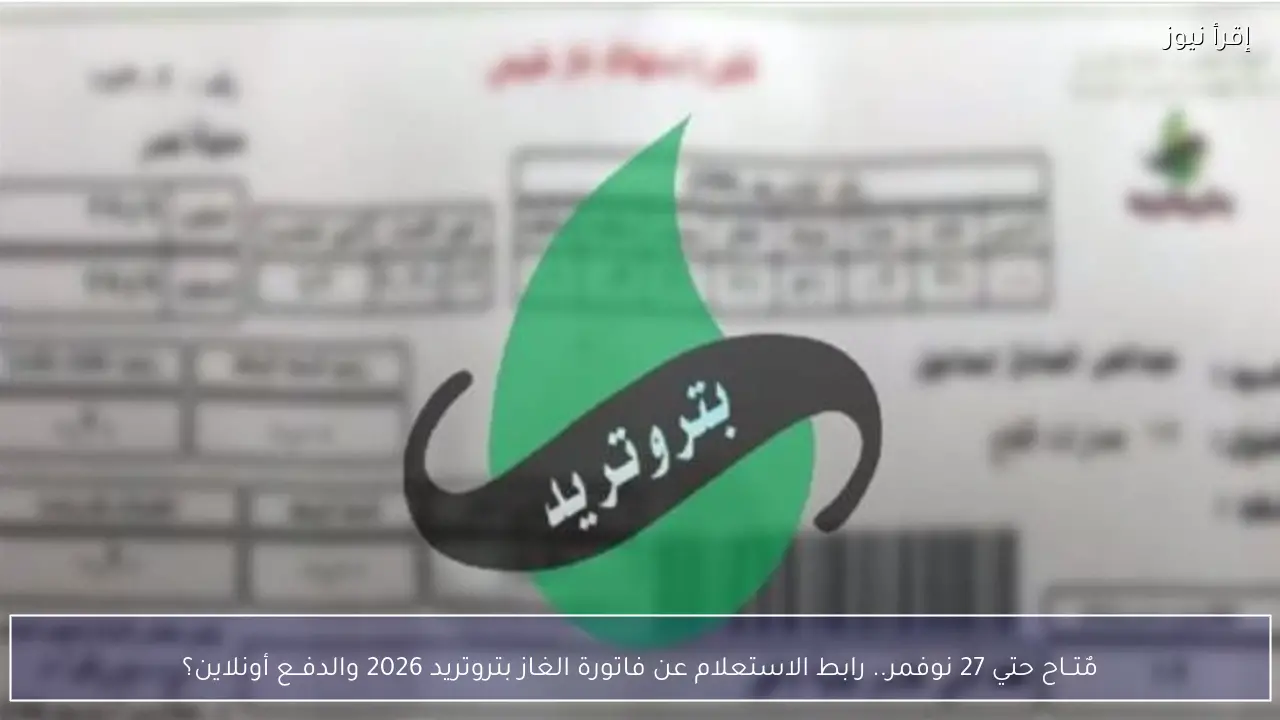 مٌتــاح حتي 27 نوفمر.. رابط الاستعلام عن فاتورة الغاز بتروتريد 2026 والدفــع أونلاين؟