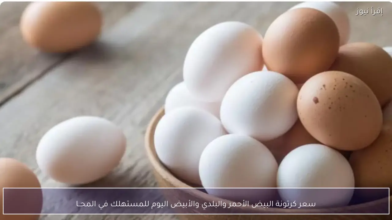 سعر كرتونة البيض الأحمر والبلدي والأبيض اليوم للمستهلك في المحــلات