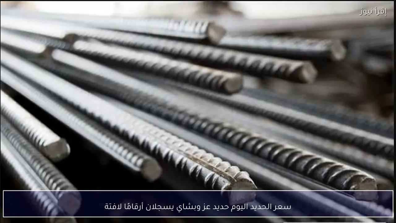 سعر الحديد اليوم حديد عز وبشاي يسجلان أرقامًا لافتة