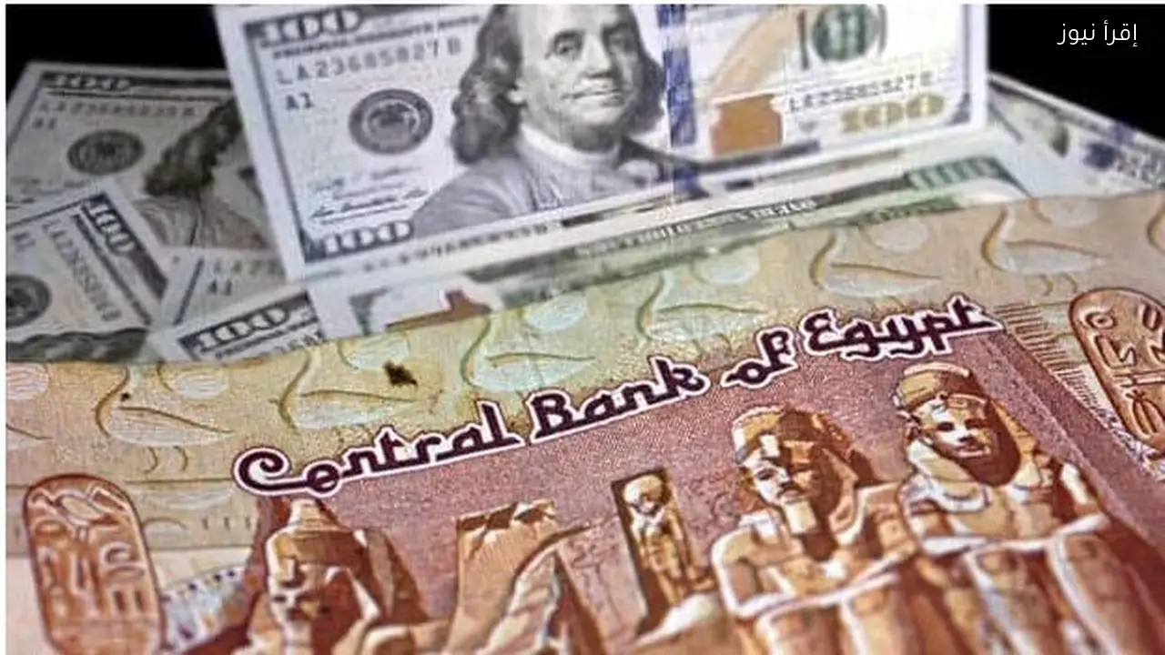 سعر الدولار في السوق السوداء اليوم وتحويلاته مقابل الجنية المصري