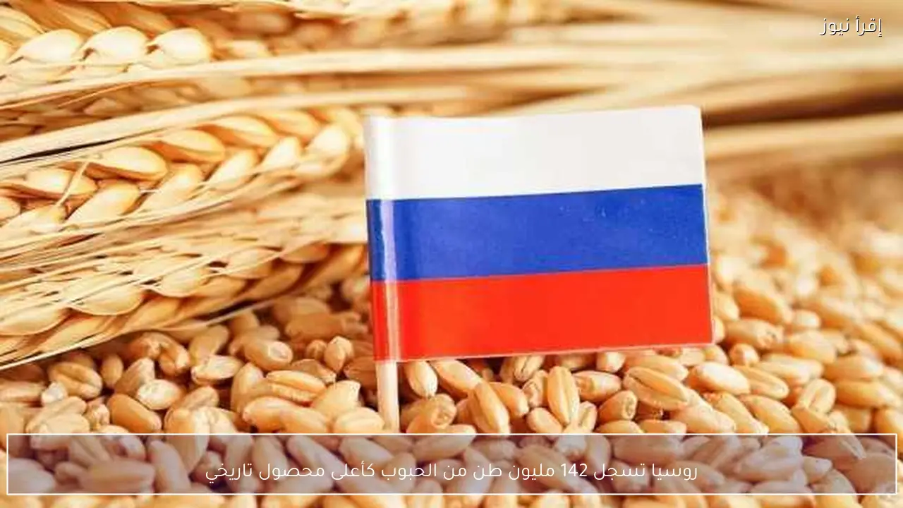 روسيا تسجل 142 مليون طن من الحبوب كأعلى محصول تاريخي