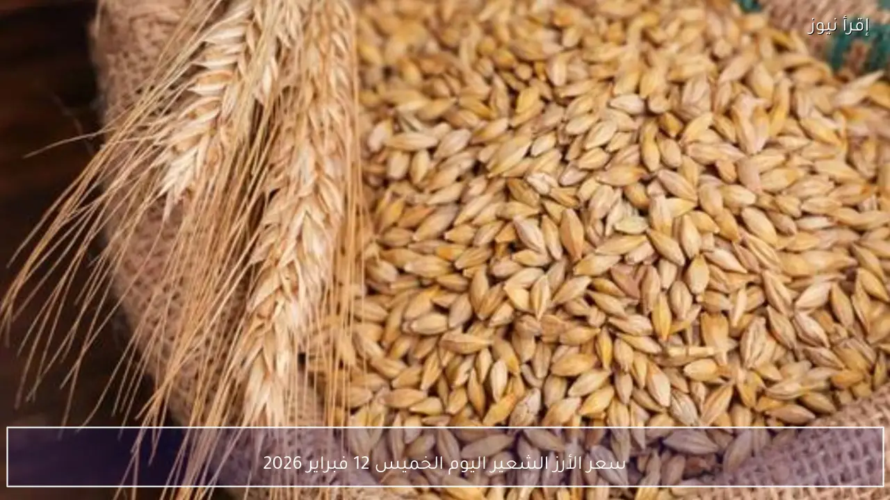 سعر الأرز الشعير اليوم الخميس 12 فبراير 2026 واستقرار أسعار الطن في الأسواق المحلية