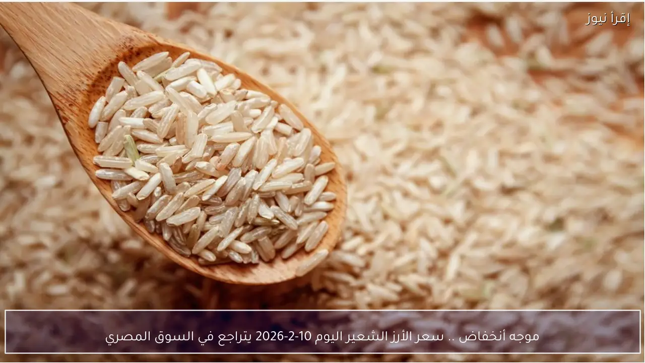 موجه أنخفاض .. سعر الأرز الشعير اليوم 10-2-2026 يتراجع في السوق المصري