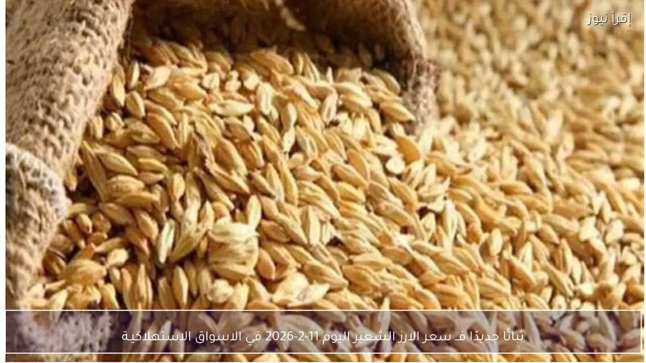 ثباتًا جديدًا فــ سعر الارز الشعير اليوم 11-2-2026 في الاسواق الاستهلاكيـة