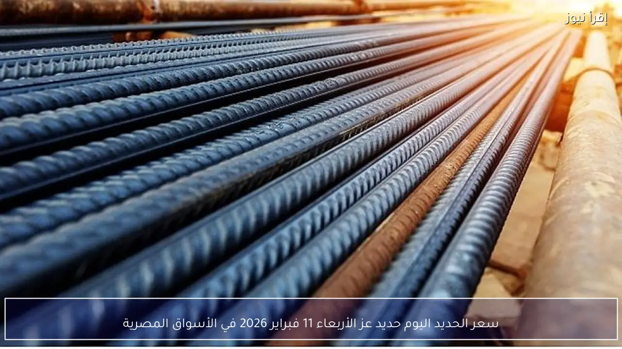 سعر الحديد اليوم حديد عز الأربعاء 11 فبراير 2026 في الأسواق المصرية