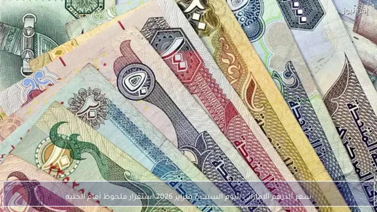 سعر الدرهم الاماراتي اليوم السبت 7 فبراير 2026 استقرار ملحوظ أمام الجنيه