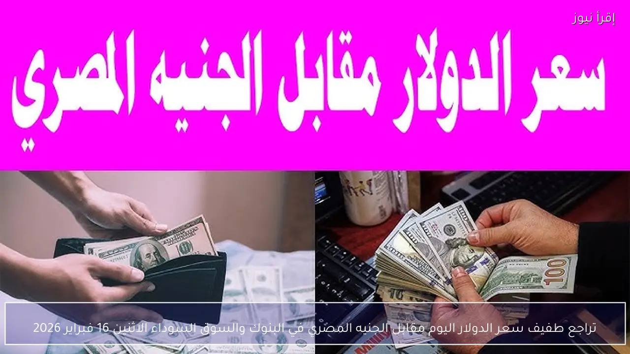 تراجع طفيف سعر الدولار اليوم مقابل الجنيه المصري في البنوك والسوق السوداء الاثنين 16 فبراير 2026