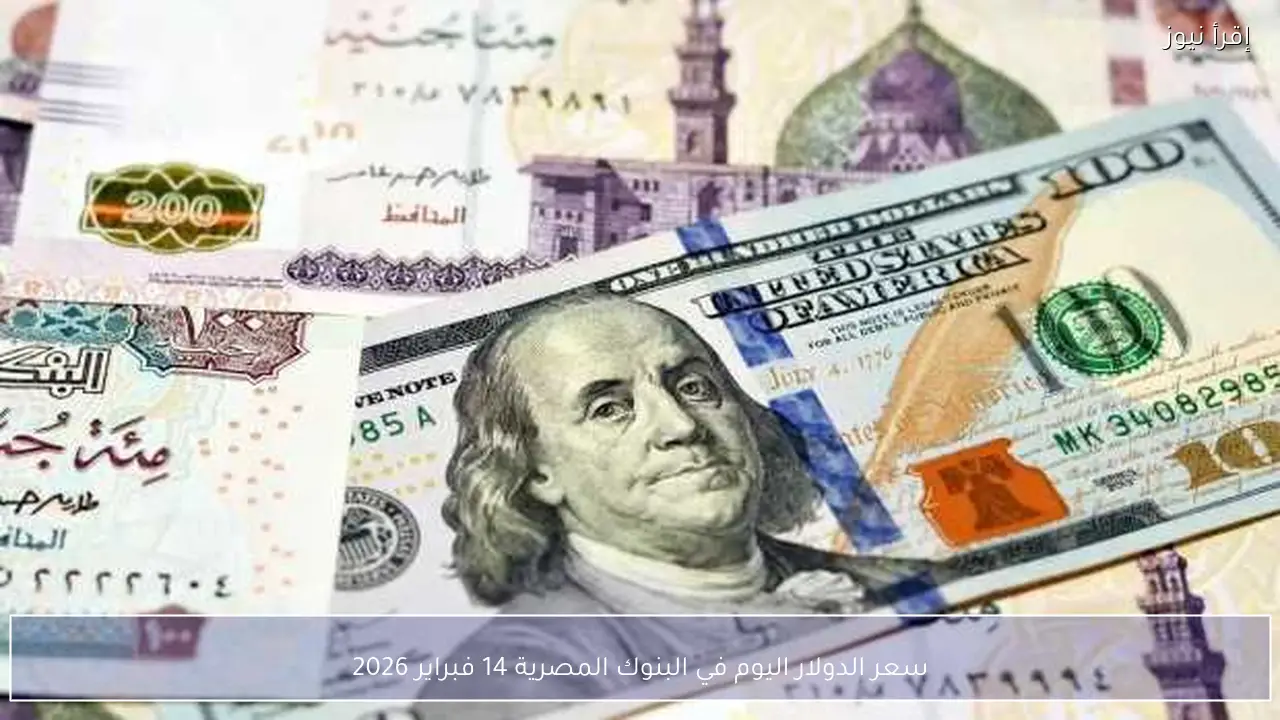 سعر الدولار اليوم في البنوك المصرية 14 فبراير 2026