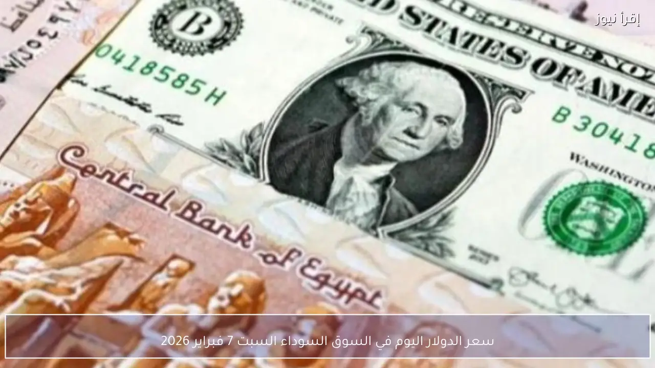سعر الدولار اليوم في السوق السوداء السبت 7 فبراير 2026 يستقر مقابل الجنيه المصري