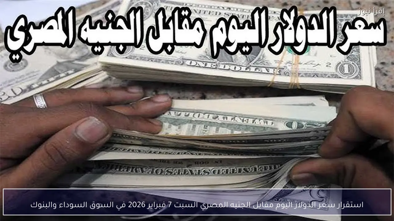 استقرار سعر الدولار اليوم مقابل الجنيه المصري السبت 7 فبراير 2026 في السوق السوداء والبنوك