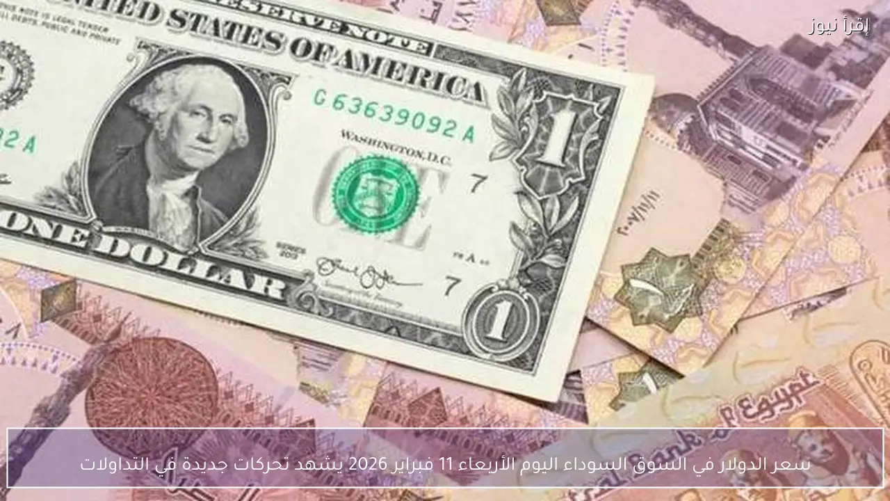 سعر الدولار في السوق السوداء اليوم الأربعاء 11 فبراير 2026 يشهد تحركات جديدة في التداولات