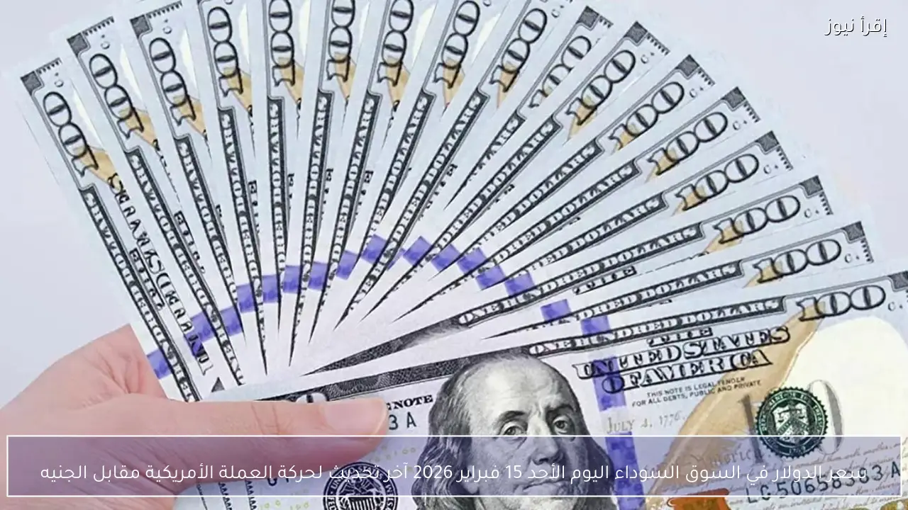سعر الدولار في السوق السوداء اليوم الأحد 15 فبراير 2026 آخر تحديث لحركة العملة الأمريكية مقابل الجنيه