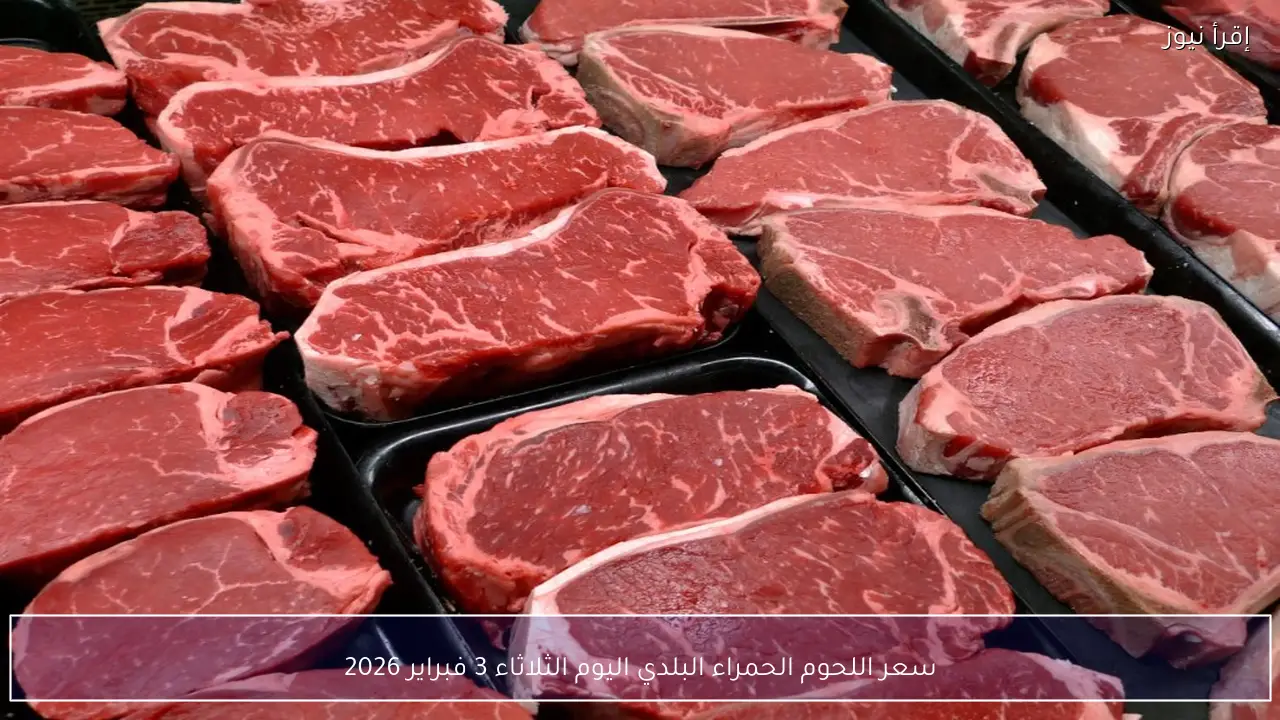 سعر اللحوم الحمراء البلدي اليوم الثلاثاء 3 فبراير 2026 واستقرار الأسعار بسوق العبور