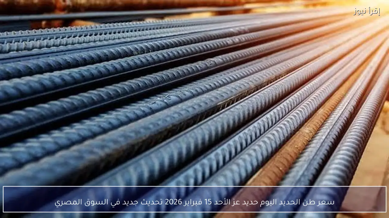 سعر طن الحديد اليوم حديد عز الأحد 15 فبراير 2026 تحديث جديد في السوق المصري