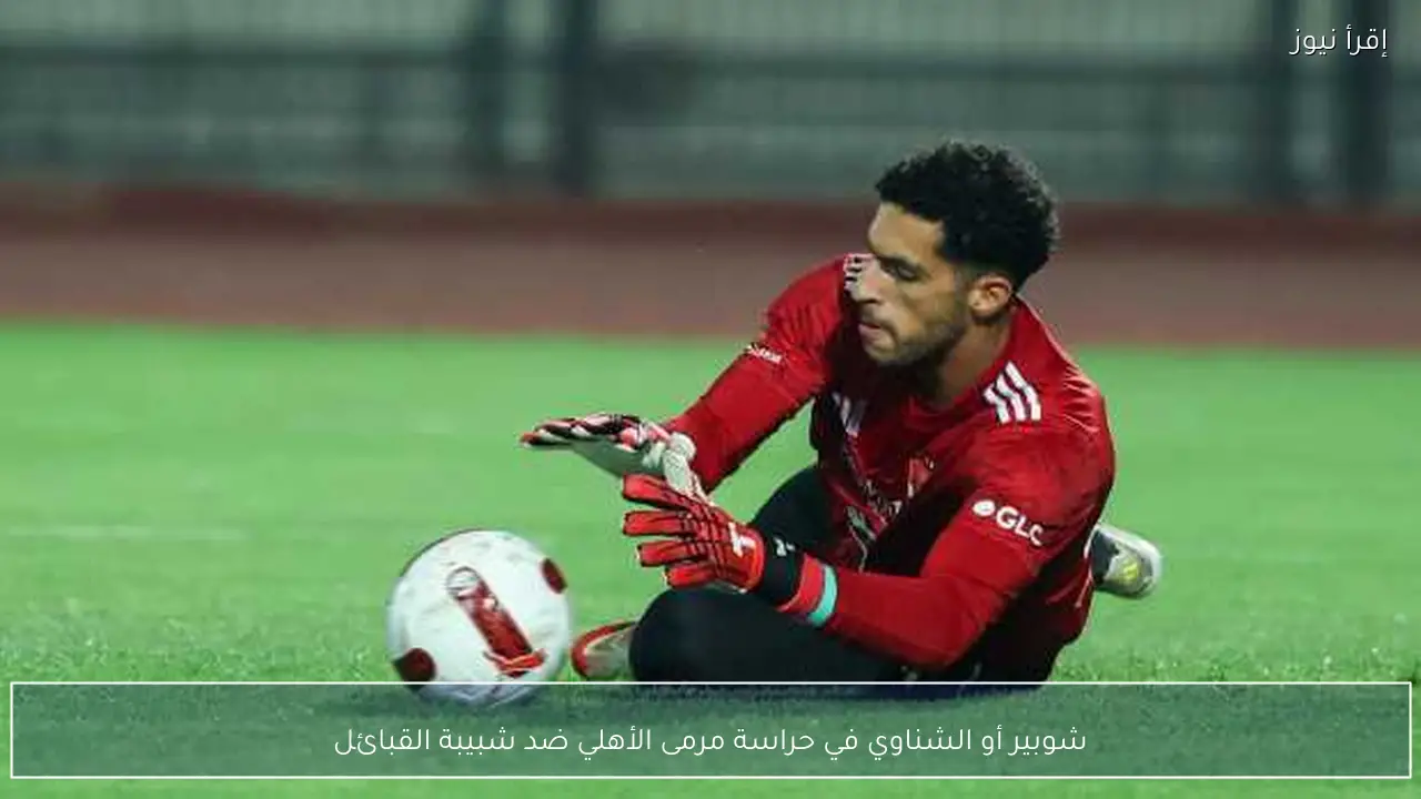 شوبير أو الشناوي في حراسة مرمى الأهلي ضد شبيبة القبائل