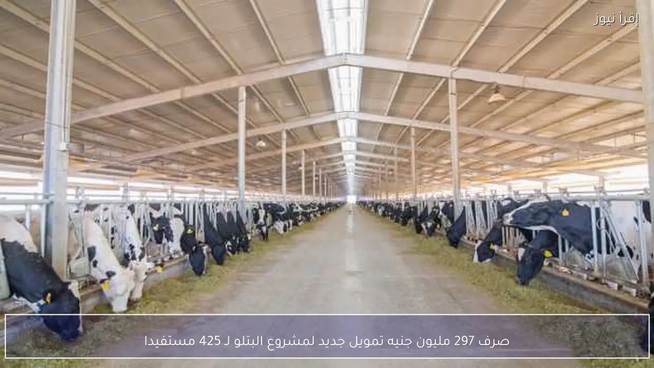 صرف 297 مليون جنيه تمويل جديد لمشروع البتلو لـ 425 مستفيدا