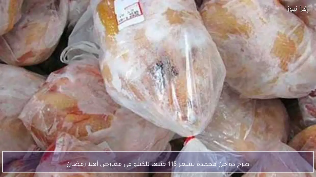 طرح دواجن مجمدة بسعر 115 جنيها للكيلو في معارض أهلا رمضان