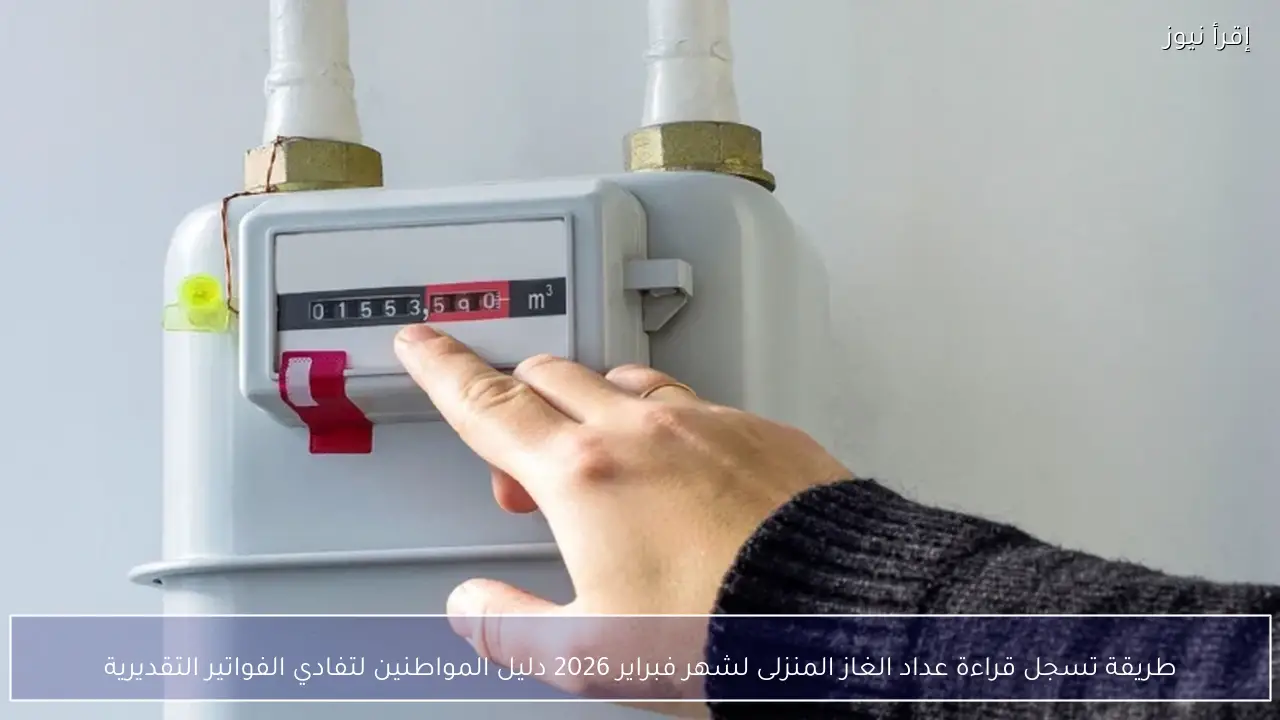 طريقة تسجل قراءة عداد الغاز المنزلى لشهر فبراير 2026 دليل المواطنين لتفادي الفواتير التقديرية