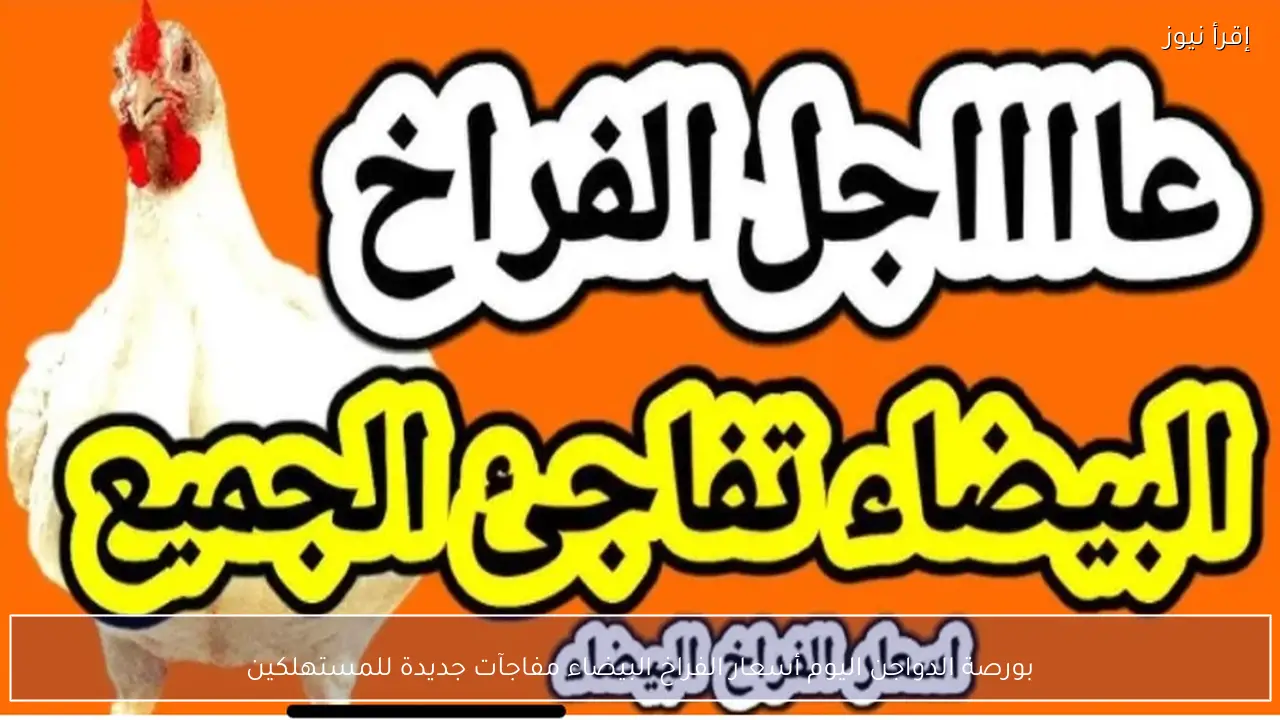 بورصة الدواجن اليوم أسعار الفراخ البيضاء مفاجآت جديدة للمستهلكين