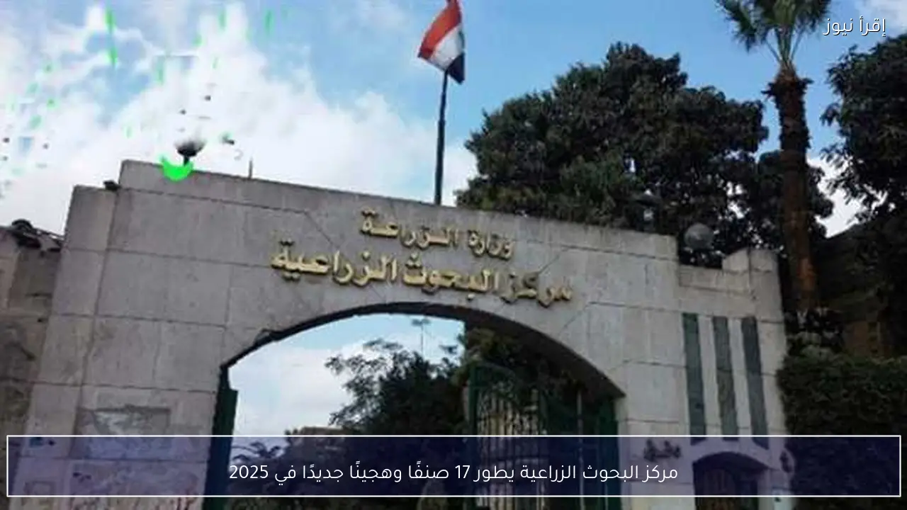 مركز البحوث الزراعية يطور 17 صنفًا وهجينًا جديدًا في 2025